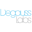 Degauss Labs